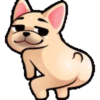 dog Dance